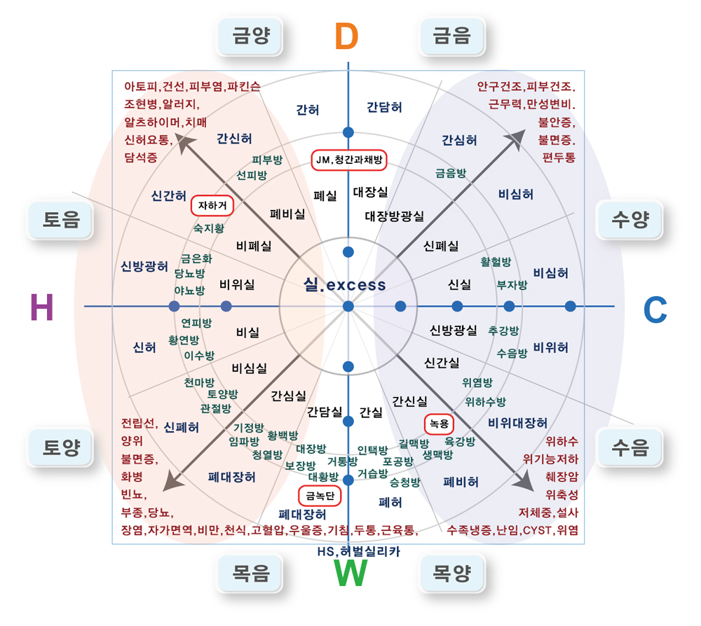 홍채기반-맞춤정밀처방-프로그램이미지