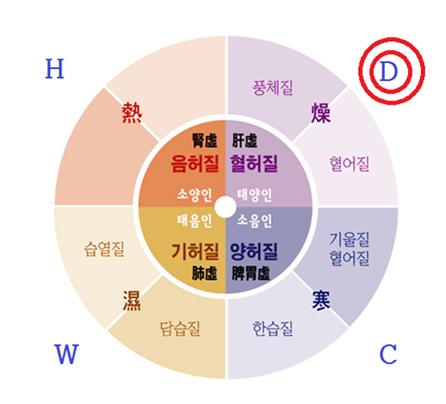 홍채진단이미지