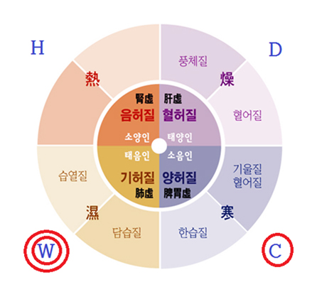 홍채진단이미지